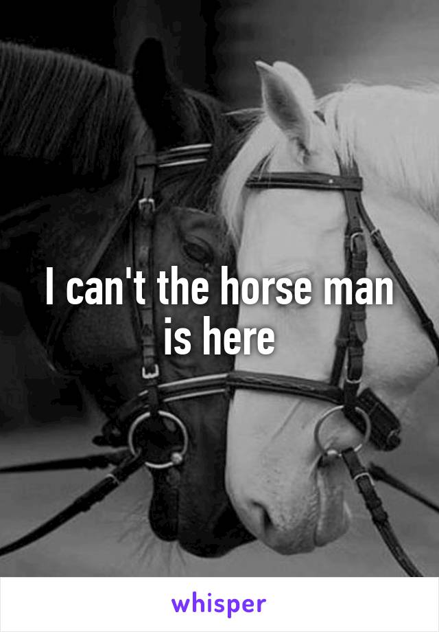 I can't the horse man is here