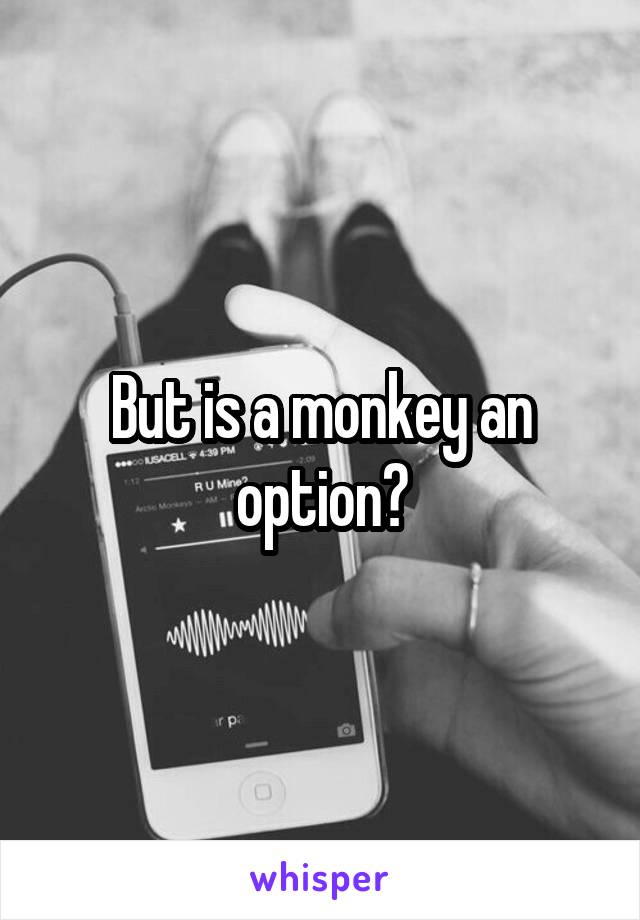 But is a monkey an option?