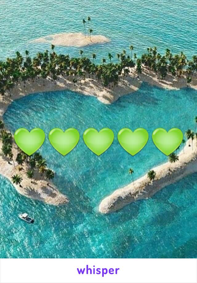 💚💚💚💚💚