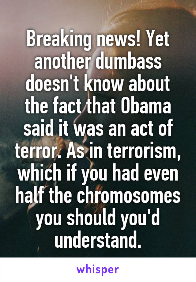 Breaking news! Yet another dumbass doesn't know about the fact that Obama said it was an act of terror. As in terrorism, which if you had even half the chromosomes you should you'd understand.