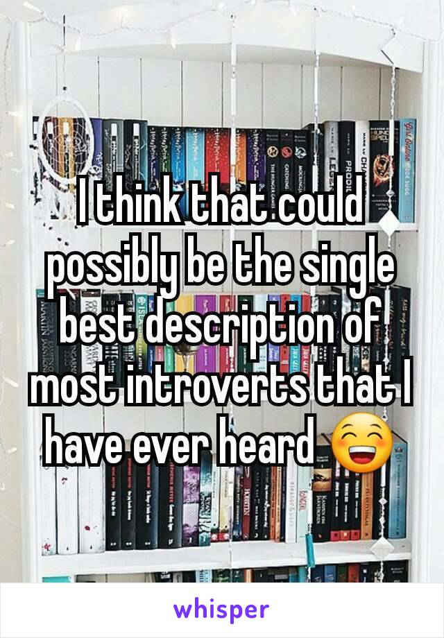 I think that could possibly be the single best description of most introverts that I have ever heard 😁