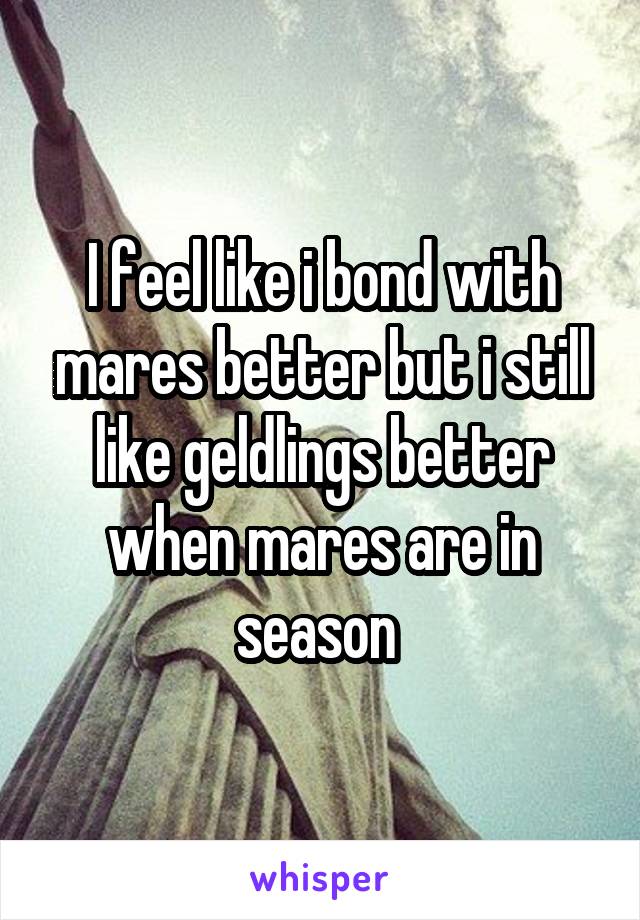 I feel like i bond with mares better but i still like geldlings better when mares are in season 