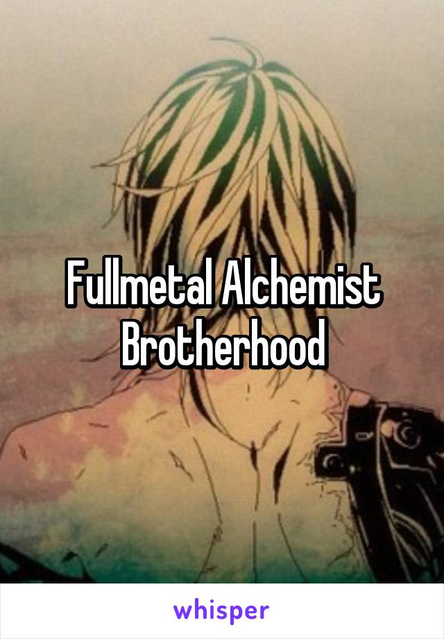 Fullmetal Alchemist Brotherhood