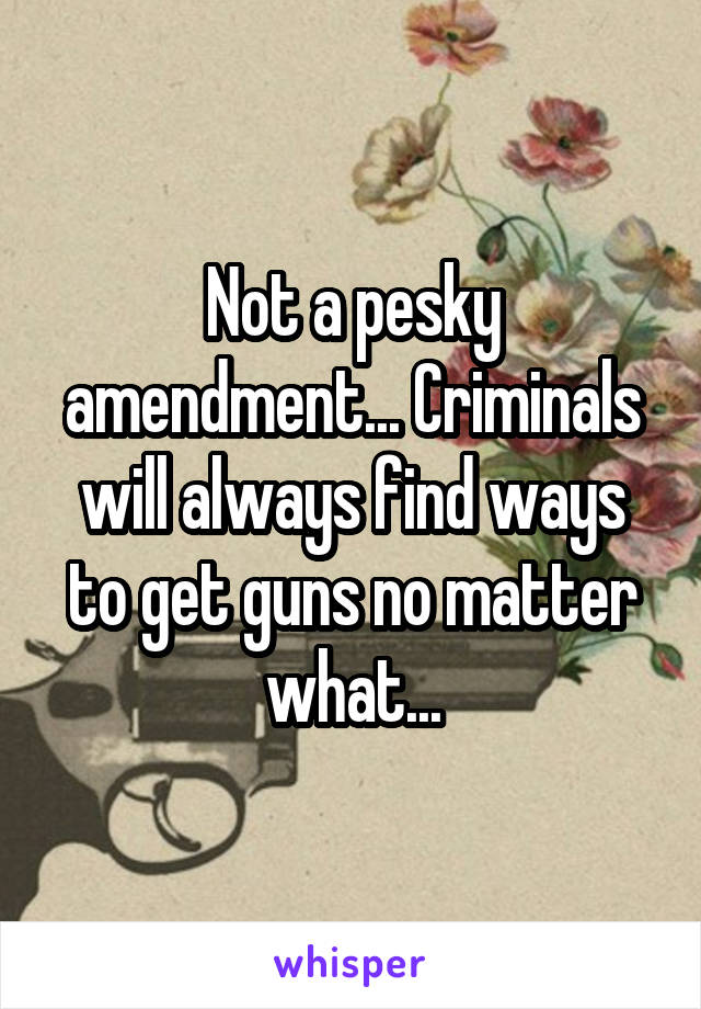 Not a pesky amendment... Criminals will always find ways to get guns no matter what...