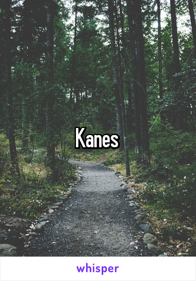 Kanes 