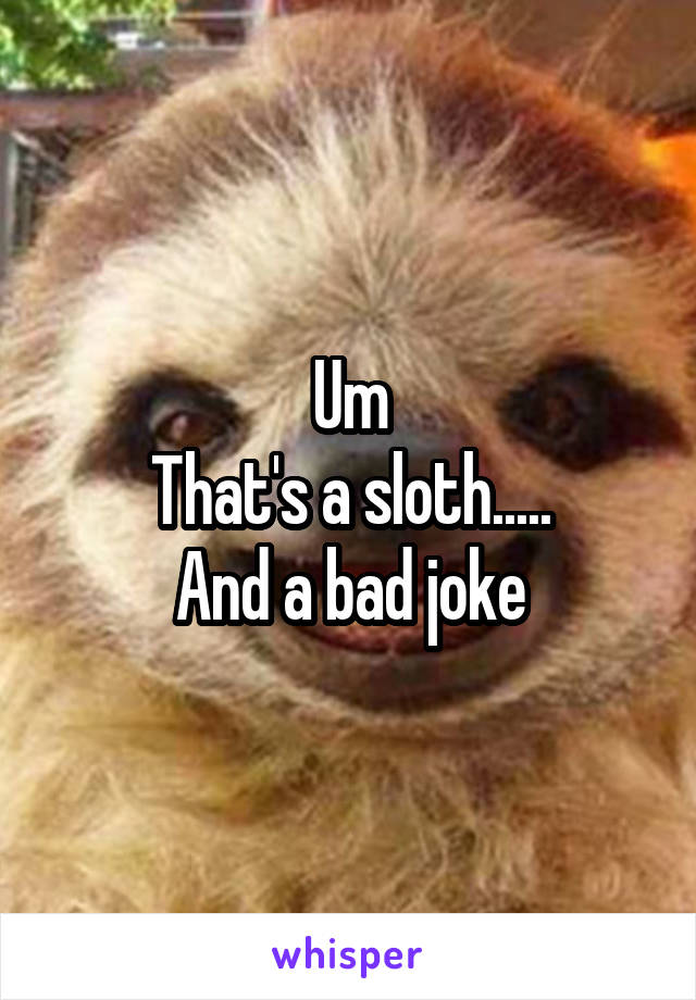 Um
That's a sloth.....
And a bad joke