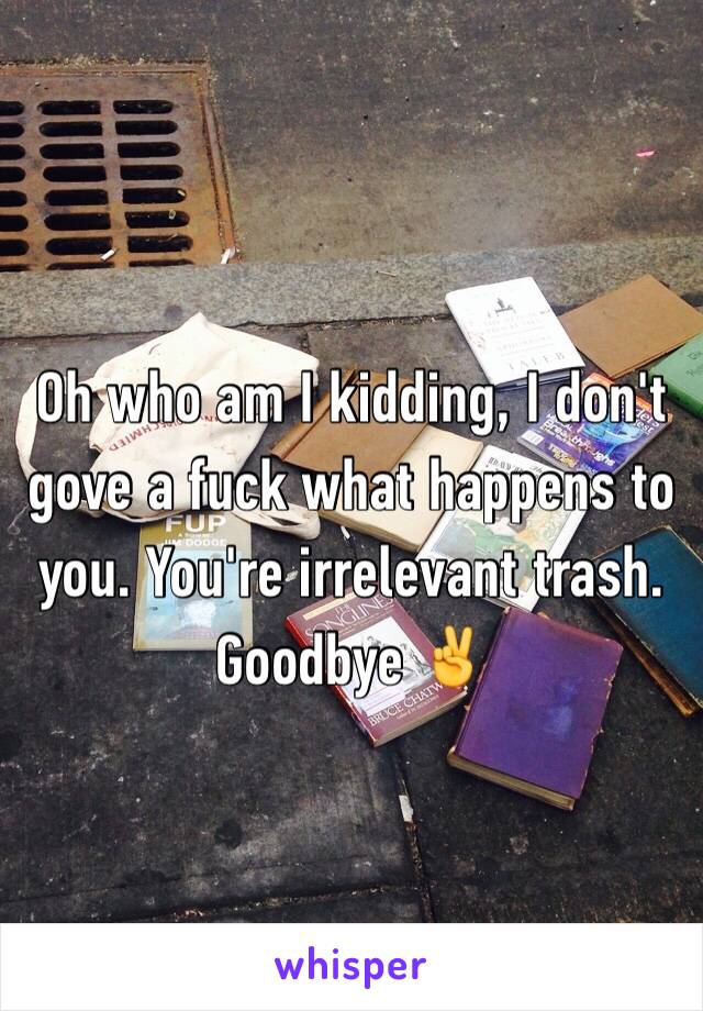 Oh who am I kidding, I don't gove a fuck what happens to you. You're irrelevant trash. Goodbye ✌️