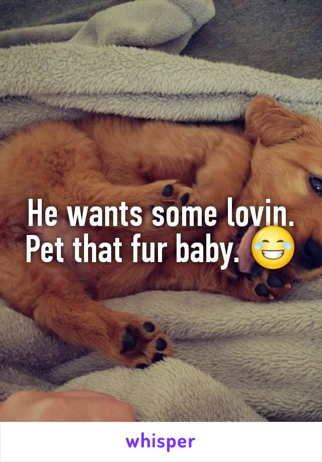 He wants some lovin. Pet that fur baby. 😂