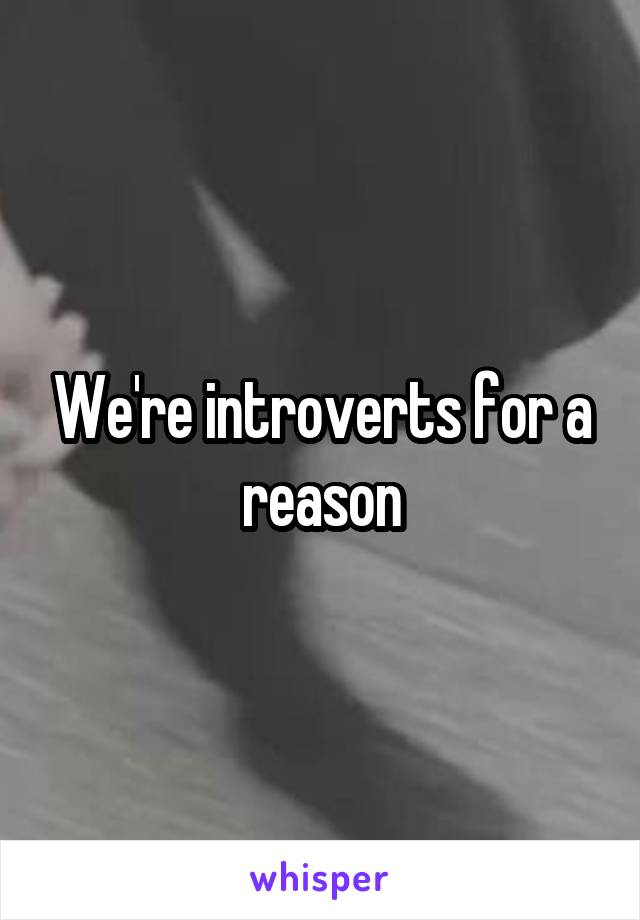 We're introverts for a reason