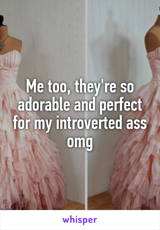 Me too, they're so adorable and perfect for my introverted ass omg