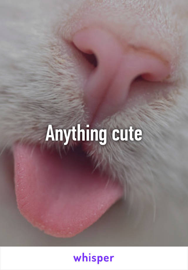 Anything cute