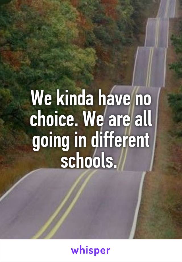 We kinda have no choice. We are all going in different schools. 