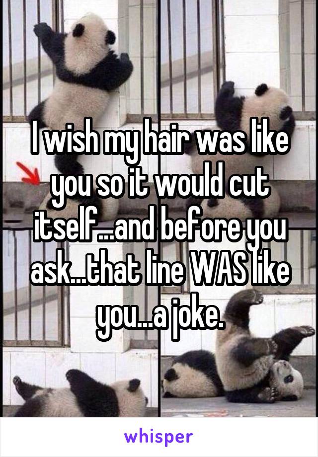 I wish my hair was like you so it would cut itself...and before you ask...that line WAS like you...a joke.