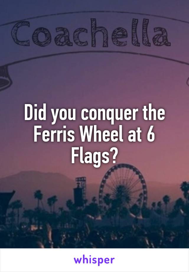 Did you conquer the Ferris Wheel at 6 Flags?