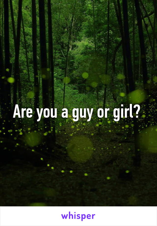 Are you a guy or girl? 