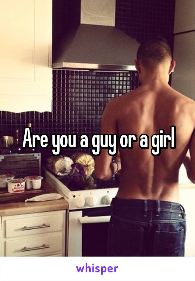 Are you a guy or a girl