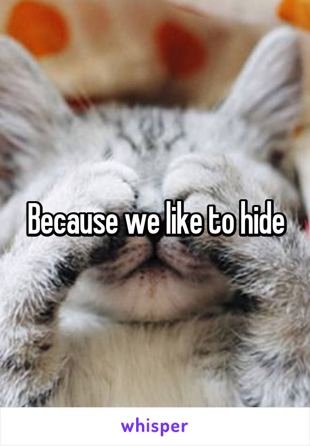 Because we like to hide