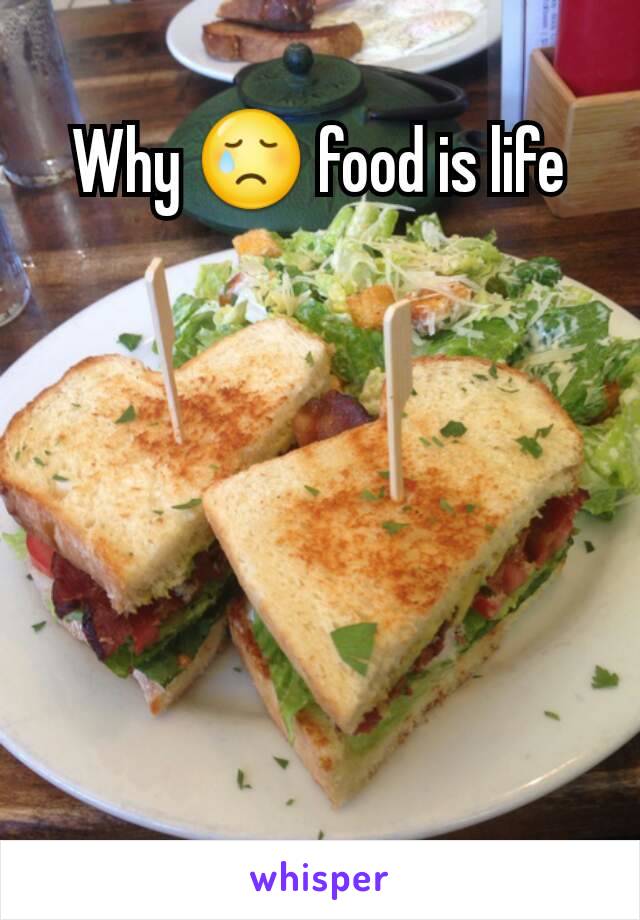 Why 😢 food is life