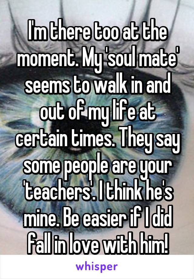 I'm there too at the moment. My 'soul mate' seems to walk in and out of my life at certain times. They say some people are your 'teachers'. I think he's mine. Be easier if I did fall in love with him!