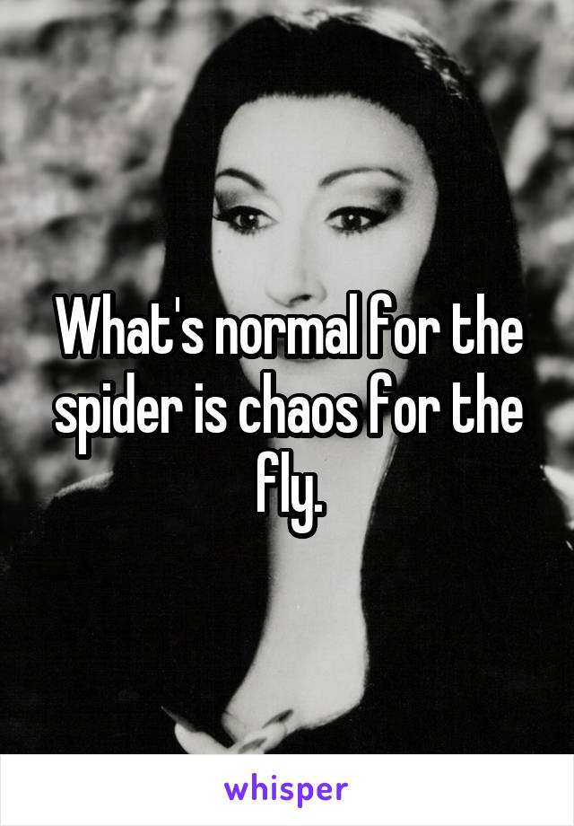 What's normal for the spider is chaos for the fly.