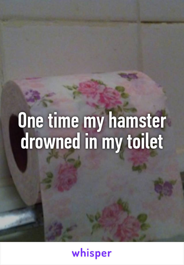 One time my hamster drowned in my toilet