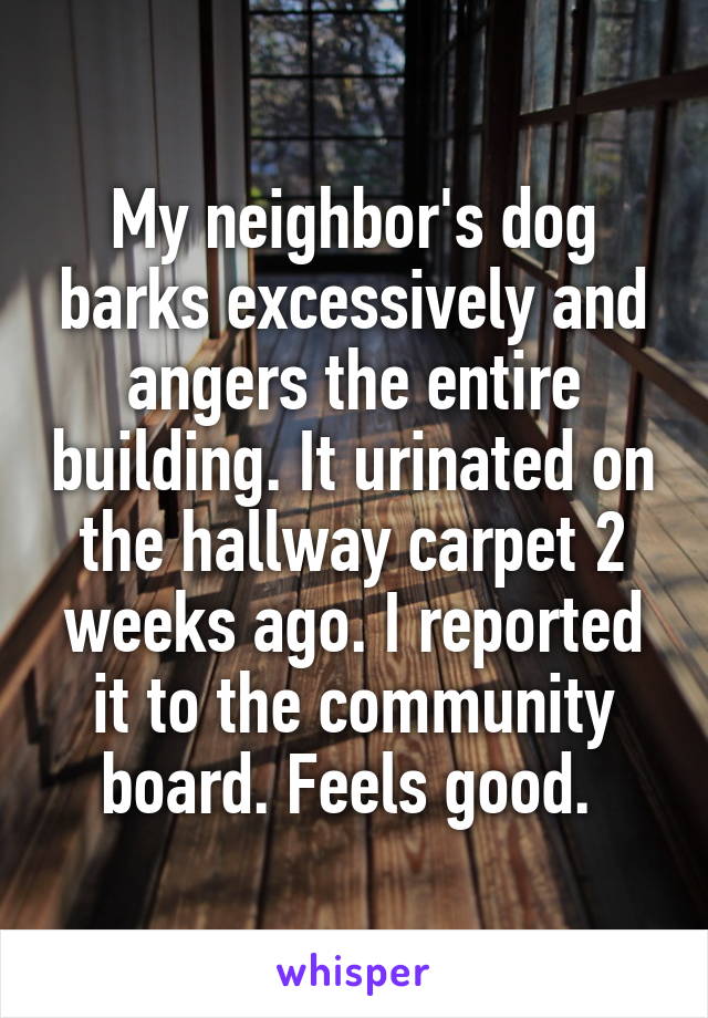 My neighbor's dog barks excessively and angers the entire building. It urinated on the hallway carpet 2 weeks ago. I reported it to the community board. Feels good. 