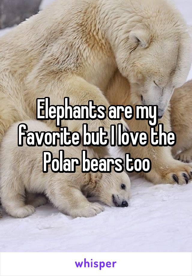 Elephants are my favorite but I love the
Polar bears too