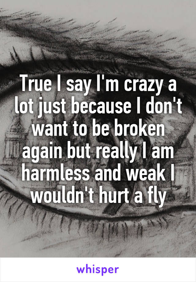 True I say I'm crazy a lot just because I don't want to be broken again but really I am harmless and weak I wouldn't hurt a fly