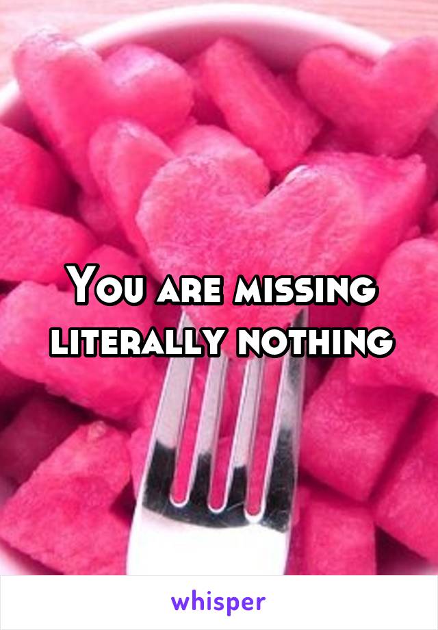 You are missing literally nothing