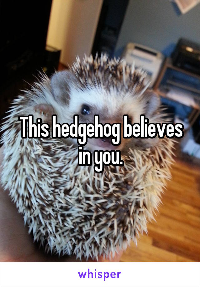 This hedgehog believes in you.