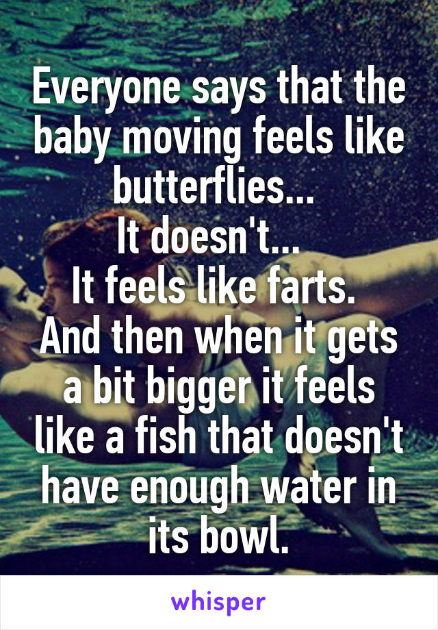 Everyone says that the baby moving feels like butterflies... 
It doesn't...  
It feels like farts. 
And then when it gets a bit bigger it feels like a fish that doesn't have enough water in its bowl.