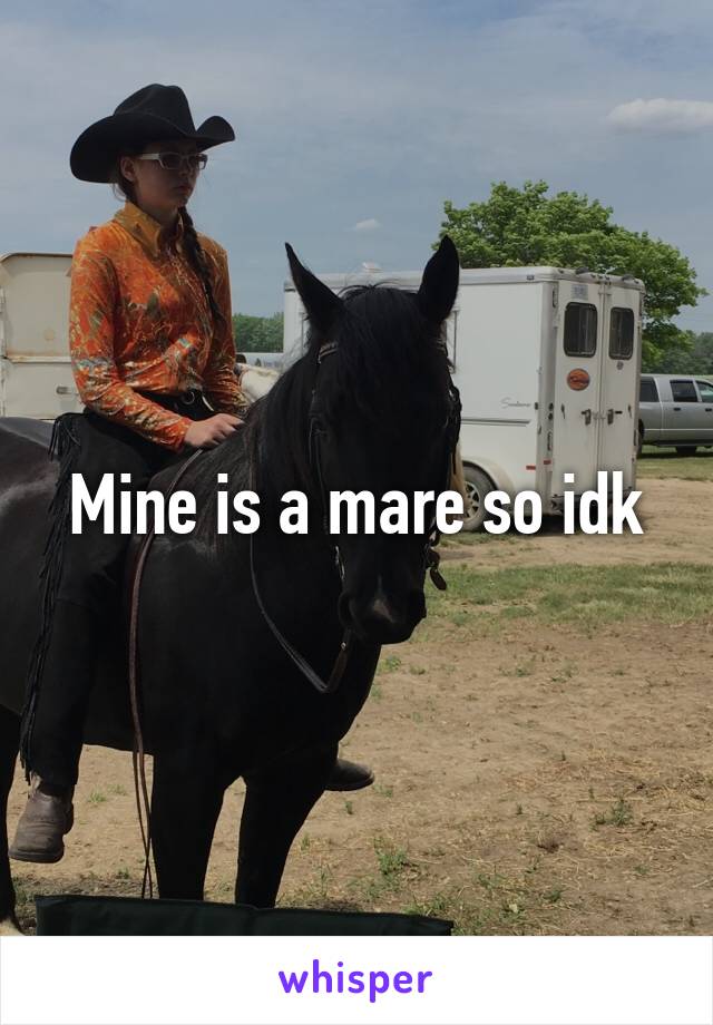 Mine is a mare so idk