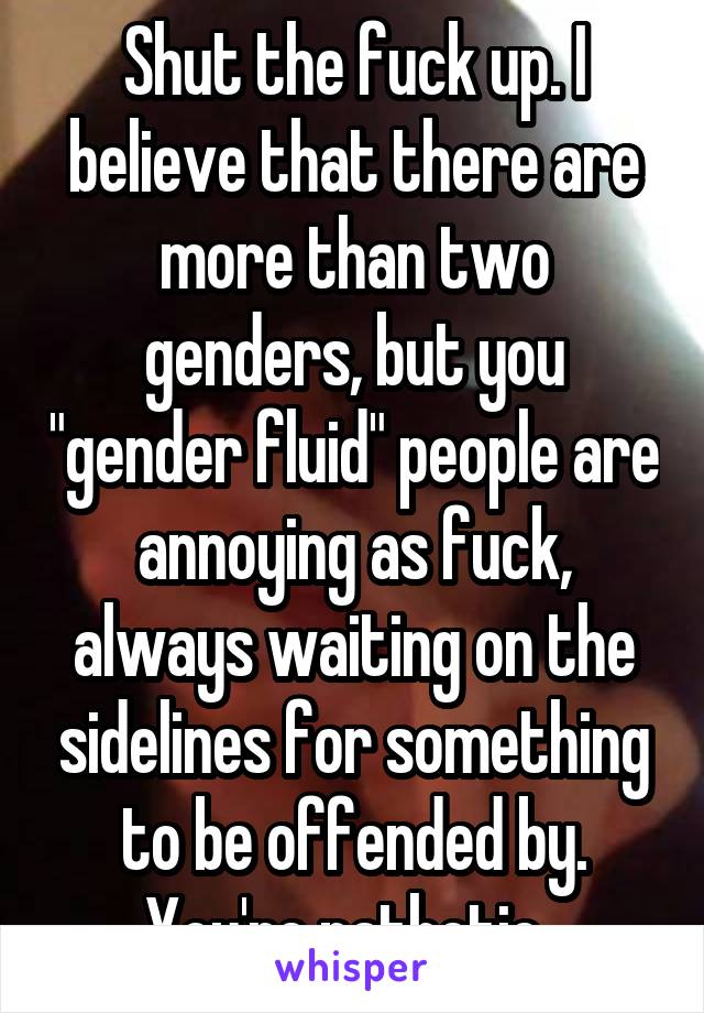 Shut the fuck up. I believe that there are more than two genders, but you "gender fluid" people are annoying as fuck, always waiting on the sidelines for something to be offended by. You're pathetic. 