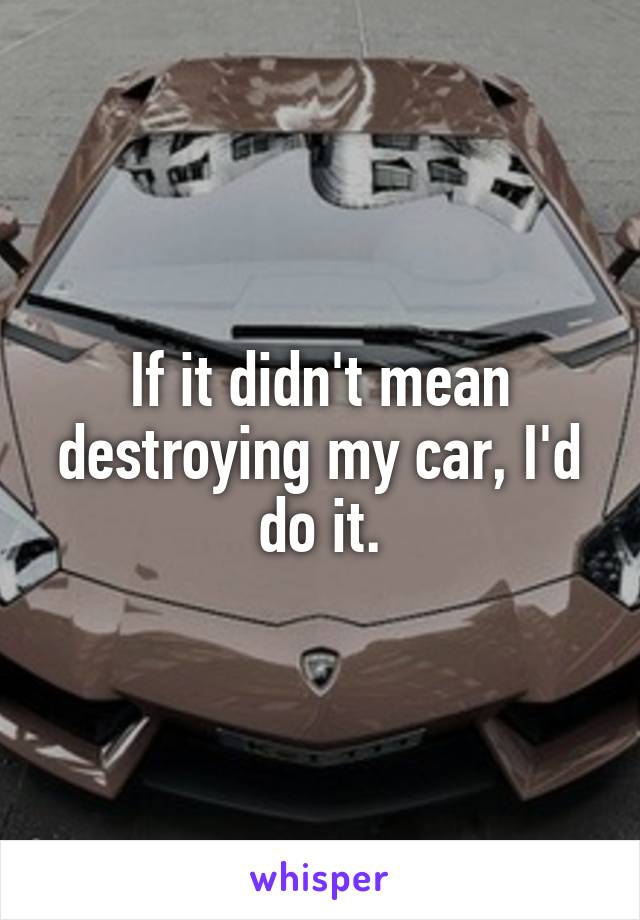 If it didn't mean destroying my car, I'd do it.