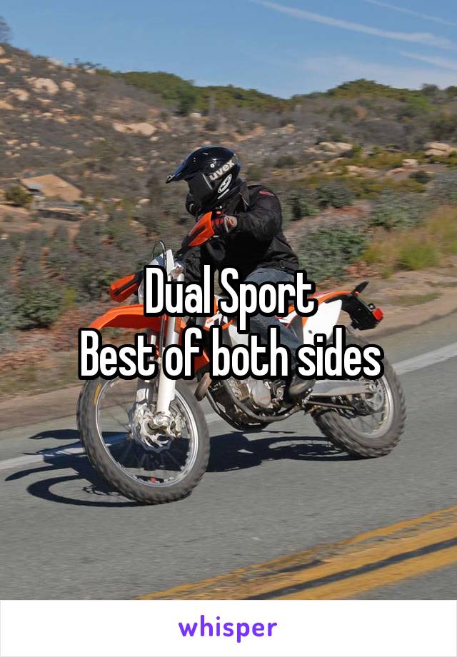 Dual Sport
Best of both sides