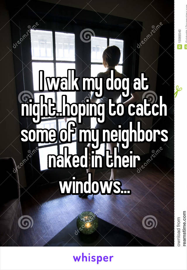 I walk my dog at night..hoping to catch some of my neighbors naked in their windows...