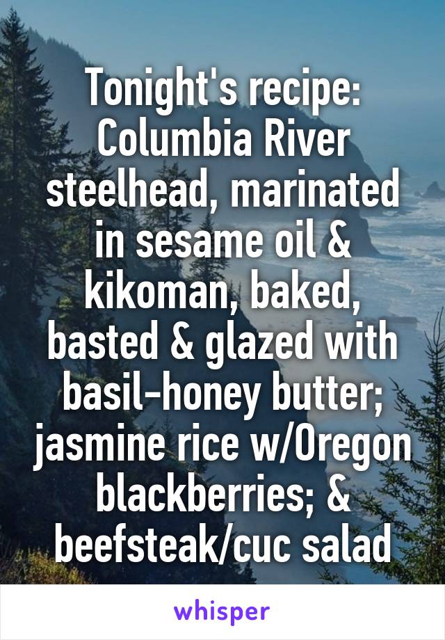 Tonight's recipe:
Columbia River steelhead, marinated in sesame oil & kikoman, baked, basted & glazed with basil-honey butter; jasmine rice w/Oregon blackberries; & beefsteak/cuc salad