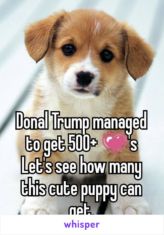 Donal Trump managed to get 500+ 💗's
Let's see how many this cute puppy can get.