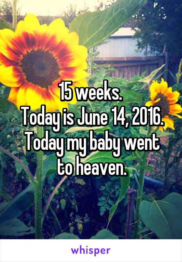 15 weeks. 
Today is June 14, 2016.
Today my baby went to heaven.