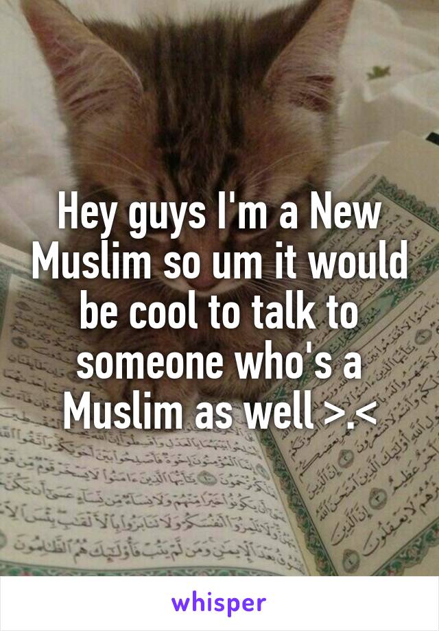 Hey guys I'm a New Muslim so um it would be cool to talk to someone who's a Muslim as well >.<