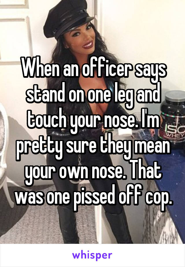 When an officer says stand on one leg and touch your nose. I'm pretty sure they mean your own nose. That was one pissed off cop.
