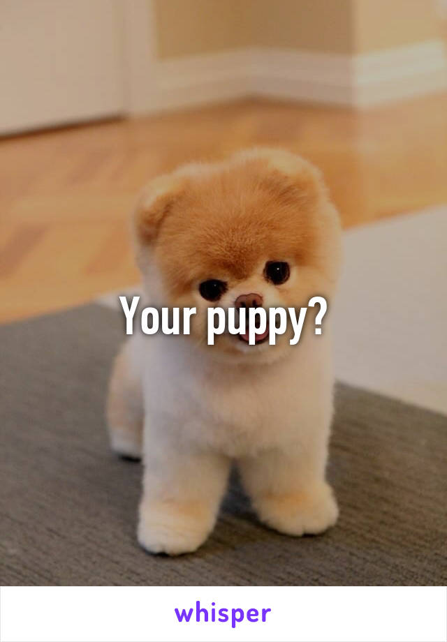 Your puppy?