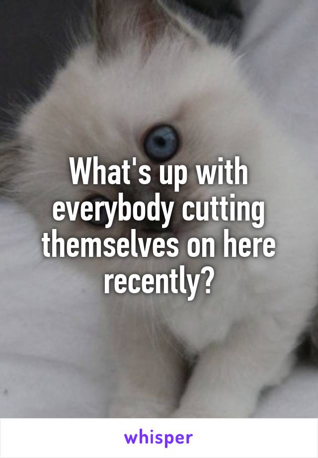 What's up with everybody cutting themselves on here recently?