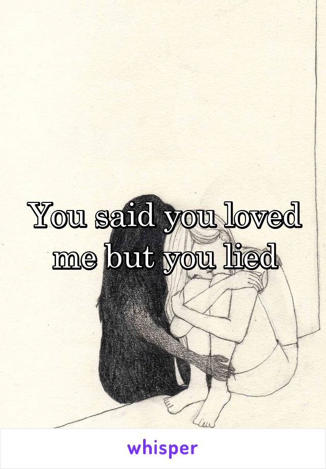 You said you loved me but you lied