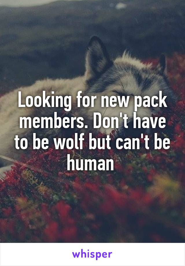 Looking for new pack members. Don't have to be wolf but can't be human 