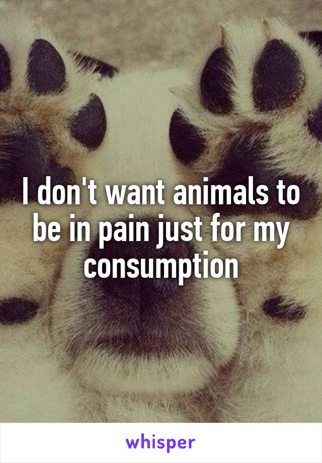 I don't want animals to be in pain just for my consumption