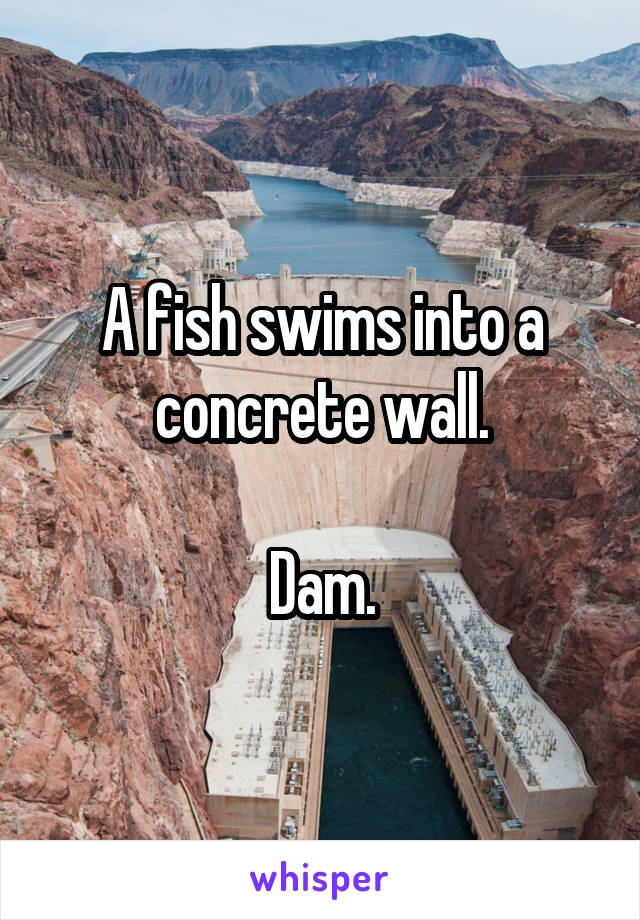 A fish swims into a concrete wall.

Dam.