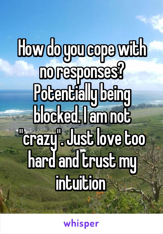 How do you cope with no responses? Potentially being blocked. I am not "crazy". Just love too hard and trust my intuition 