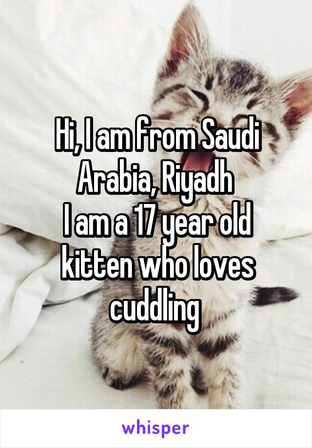 Hi, I am from Saudi Arabia, Riyadh 
I am a 17 year old kitten who loves cuddling 