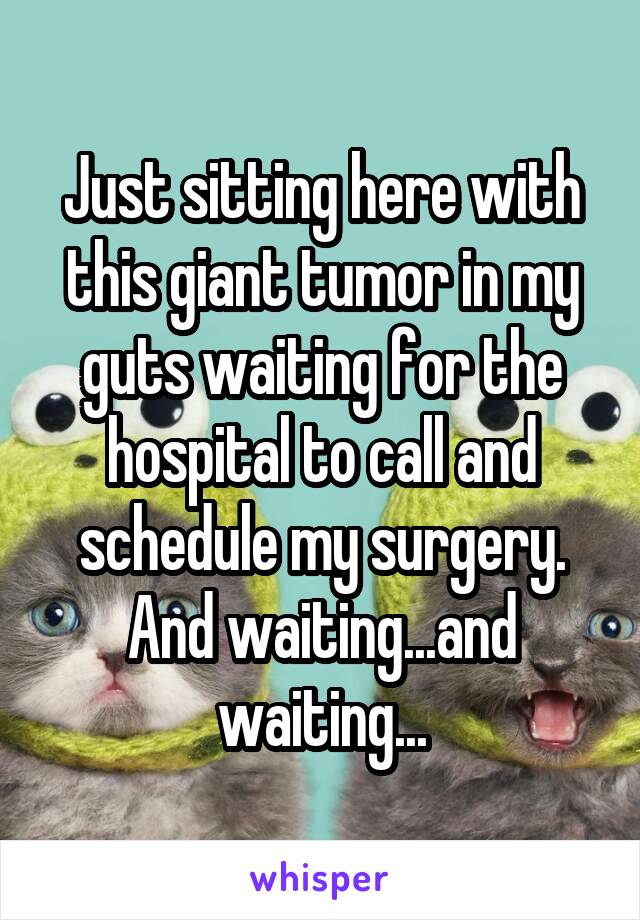 Just sitting here with this giant tumor in my guts waiting for the hospital to call and schedule my surgery.
And waiting...and waiting...